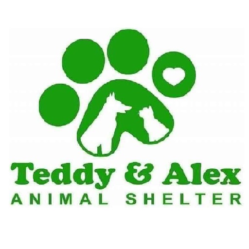 Teddy Alex Shelter